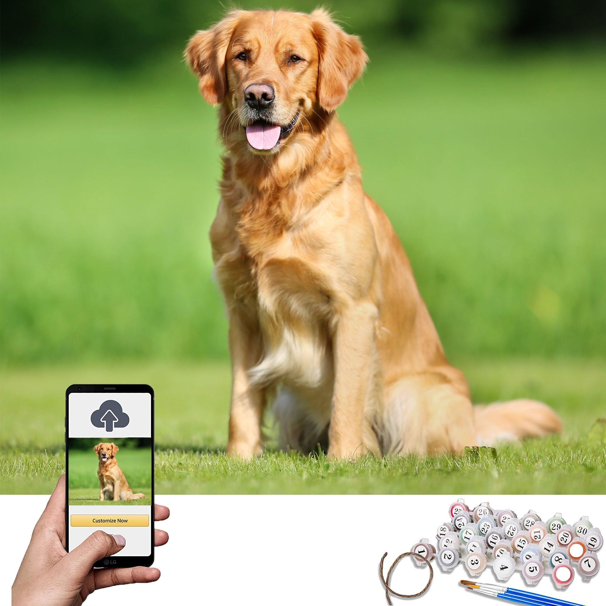 Photo to Custom DIY Paint by Numbers for Adults,Your Own Private Picture Personalized Customized PBN, Acrylic Painting Oil Painting on Framed & Stretched Canvas for Beginners - CustomizeFactory