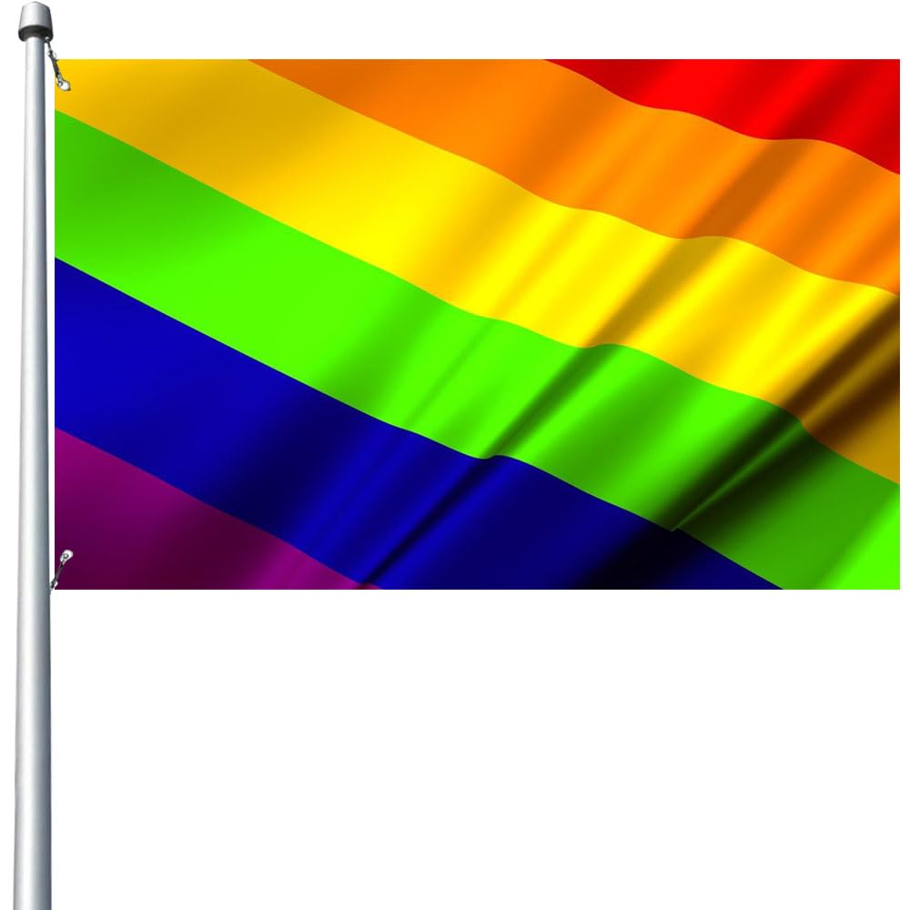 Handimake Custom Flags Outdoor, Make Your Own Flag/Logo/Design/Words Personalized Outdoor Flags Banners for Flag, Music Festival, Pride, School, Company Decoration Gift