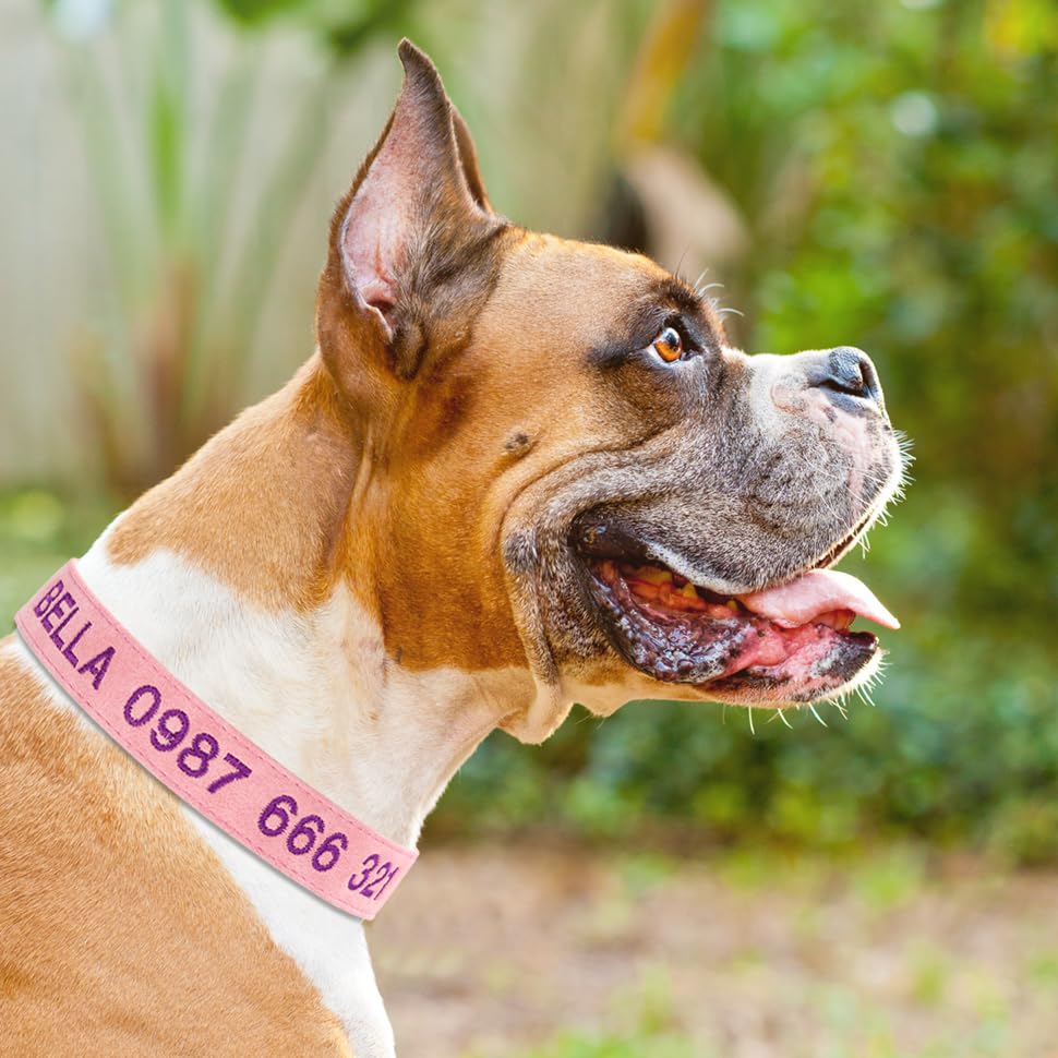 Handimake Customized Leather Cotton pet Collar, Personalized Dog Collar Embroidered with Name and Phone Anti Loss Collar, Available in XS, S, M, and L Sizes pet collar pet collar pet collar